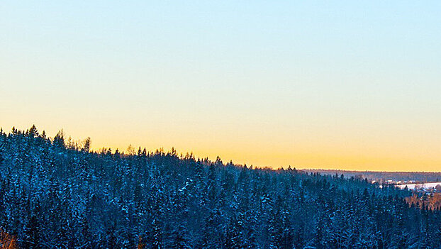 image-24919
